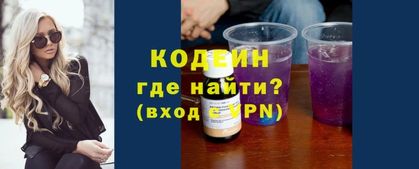 крисы Новозыбков