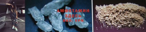 крисы Новозыбков
