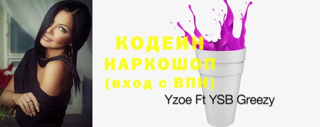 крисы Новозыбков