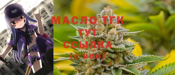 крисы Новозыбков