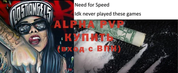 крисы Новозыбков