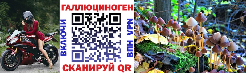 Псилоцибиновые грибы MAGIC MUSHROOMS  наркота  Островной 